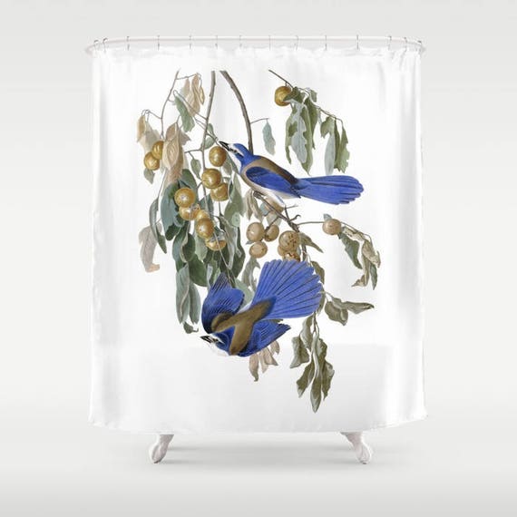 Shower Curtain Florida Jay 71 By 74 Inches Home Etsy