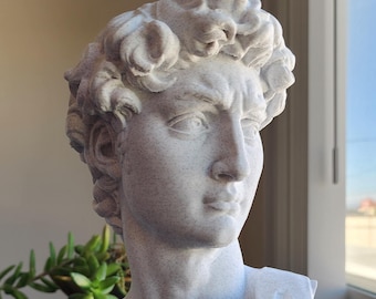 Busto de David, escultura renacentista, impresión 3D, Miguel Ángel, regalo para profesores, acabado a mano.