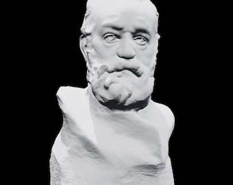 Busto de Victor Hugo, escultura de retrato de Rodin, decoración de autor francés, estatua de maestro ilustre, acabado a mano.