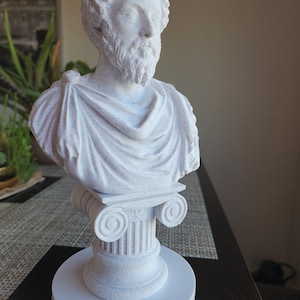 May include: White bust sculpture of a man with a beard, wearing a toga, on a white pedestal with a column base.