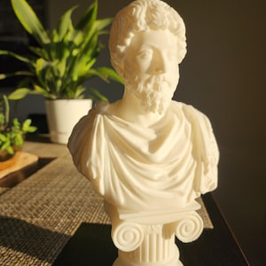 Puede incluir: Busto de yeso blanco de un hombre con barba y pelo corto. El busto est&aacute; sobre un pedestal blanco con un dise&ntilde;o de columna estriada.