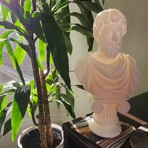 Puede incluir: Busto de yeso blanco de un hombre con barba, vistiendo una toga, sobre una base de columna blanca. El busto est&aacute; iluminado por la luz del sol.