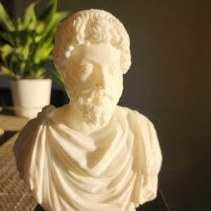 Puede incluir: Busto de yeso blanco de un hombre con barba y pelo corto. El busto est&aacute; sobre un pedestal redondo.