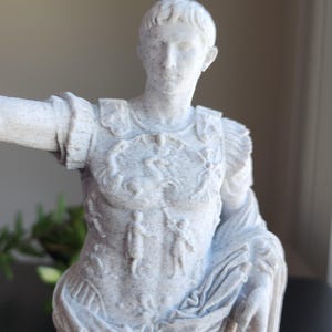 May include: A white and grey speckled statue of a Roman figure wearing detailed armor with embossed imagery on the chest plate. The figure has short hair and is draped in a textured garment that falls over the shoulder and across the torso.