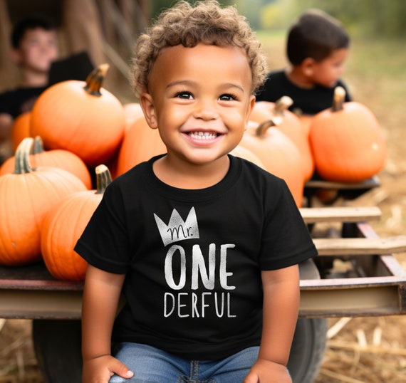 mr onederful birthday outfit