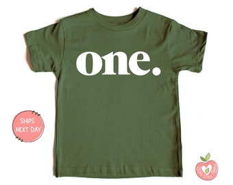 Bold &quot;One&quot; 1st Birthday Shirt Baby Girls and Baby Boys First Birthday | Cake Smash Outfit for Toddlers | Vintage One First Birthday T-Shirt