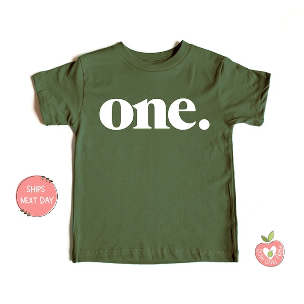 Bold One Period 1st Birthday Shirt Baby Girls and Baby Boys First Birthday and Cake Smash Outfit | Retro Vintage One First Birthday Shirt