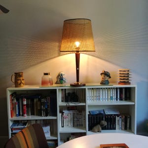 May include: A white bookshelf with multiple shelves filled with books. A lamp with a woven shade sits on top of the bookshelf. There is a small ceramic figurine on the shelf, as well as a ceramic mug.