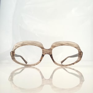 Peut inclure: Une paire de lunettes en plastique brun et transparent avec une forme de monture géométrique unique.