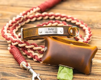 Conjunto de collar y correa de cuero personalizados para perro — Castaño