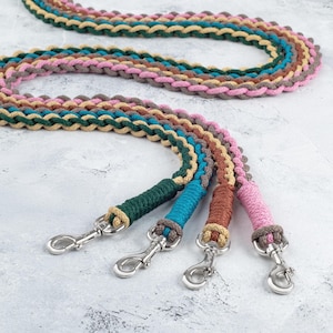 Könnte beinhalten: Vier farbige geflochtene Hundeleinen mit silbernen Clips. Die Leinen sind grün, blau, rosa und braun.