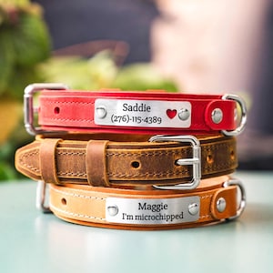 Personalized Leather Dog Collar with Custom Name Tag, Handmade Dog ID Collar with Engraved Plate, Stylish Gift for Dog Mom or New Puppy
