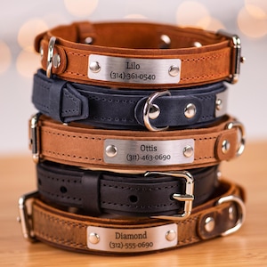 Personalized Dog Collar, Engraved Leather Dog Collar, Personalized Dog Collar with Name Plate, Leather Dog Collar