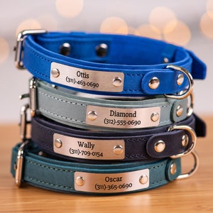 Personalized Dog Collar, Leather Dog Collar with Name, Engraved Dog Collars, Custom Dog Collar, Dog Collar with Name Plate