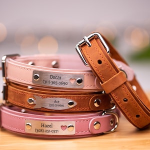 Leather Dog Collar, Personalized Engraved Buckle Dog Collar, Dog Collar with Name Plate, Boy & Girl Dog Collar