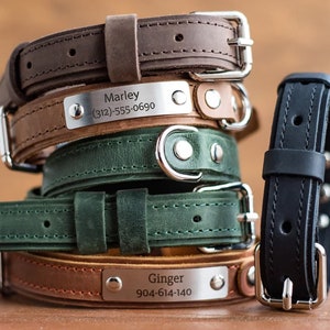 Personalized leather dog collar green