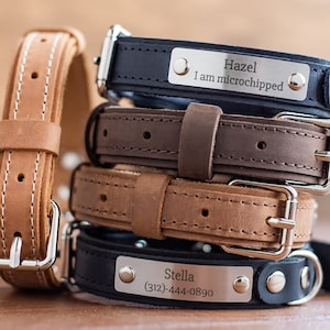 Dog Collar, Leather Dog Collar, Personalized Dog Collar, Engraved Leather Dog Collars