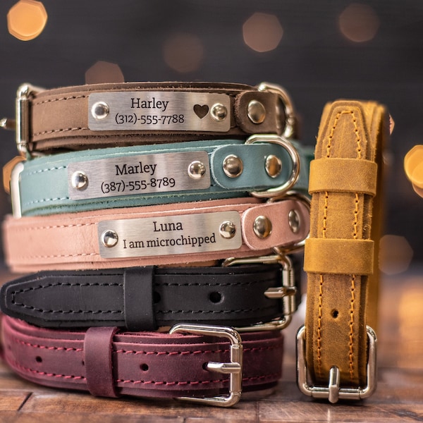 Personalized Leather Dog Collar with Engraved Name Plate | Custom Dog Collar with Name | Dog Gift, Dog Collar Personalized, Puppy Collar