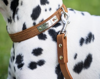 Gegraveerde leren hondenriem, gepersonaliseerde huisdieraccessoires