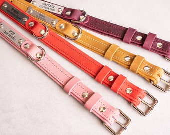 Collier pour chien en cuir personnalisé, plaque signalétique gravée, carte d'identité personnalisée pour animal de compagnie