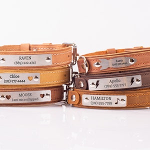 Personalisiertes Leder Hundehalsband, graviertes Hundehalsband, individuelles Hundehalsband mit Namensschild, Leder Hundehalsband Bild 9