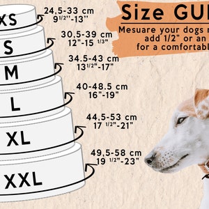 Size dog collar for small and medium dogs