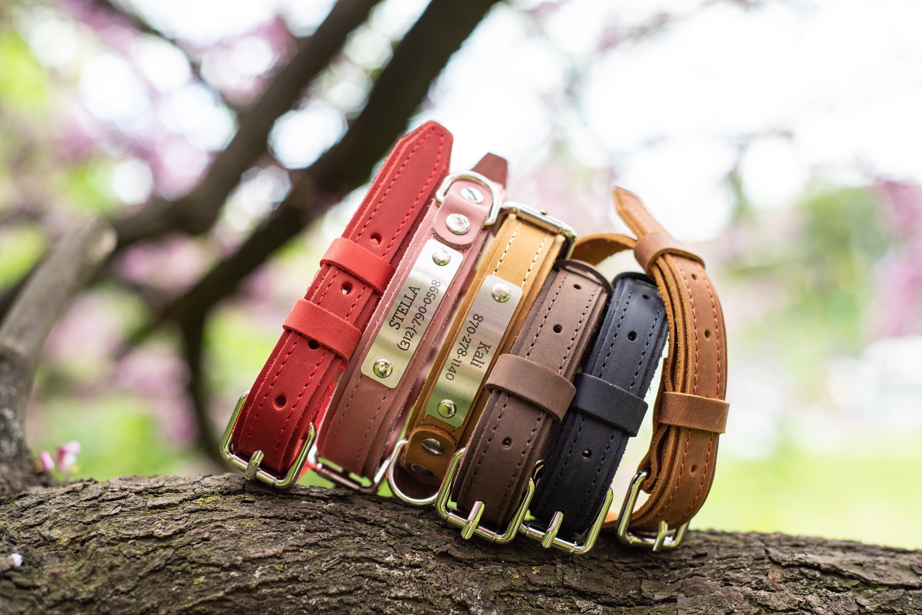 personalized leather collar