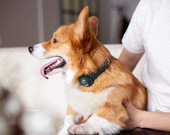 Leather AirTag Dog Collar with AirTag Holder