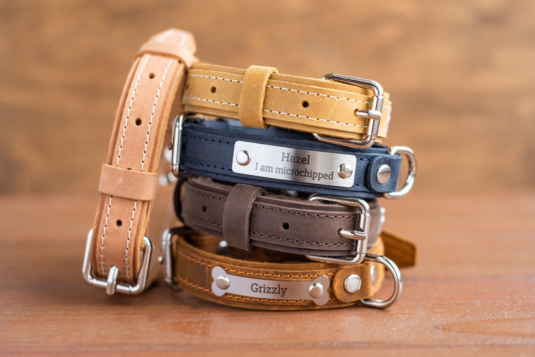 Personalized Leather Dog Collar, Engraved Nameplate - Etsy