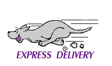 UPS delivery 10-14 working days