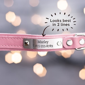 Engraved leather dog collar in 2 lines