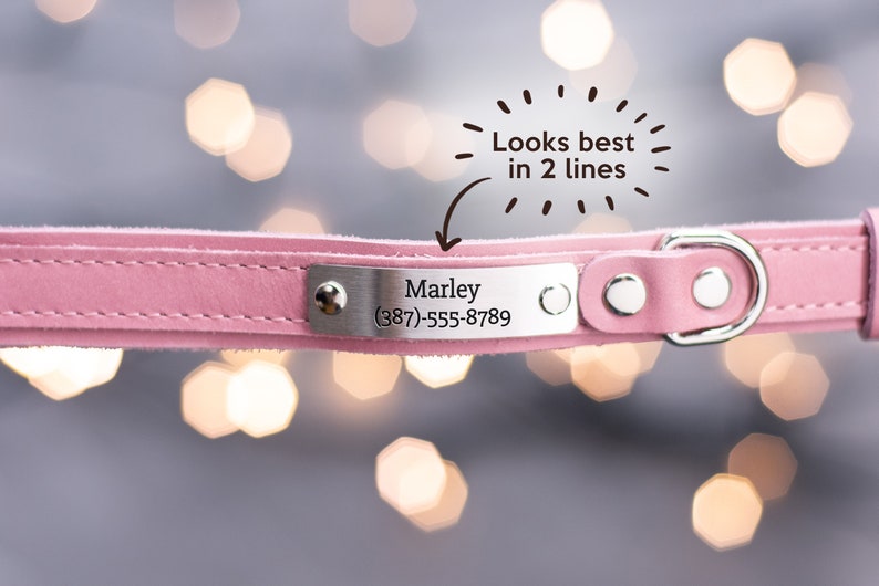 Engraved leather dog collar in 2 lines