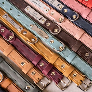 Leather Dog Collar, Custom Dog Collar with Name Plate, Engraved Leather Dog Collars, Cat Collar, Leather Cat Collar, Personalized Cat Collar