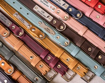 Leather Dog Collar, Custom Dog Collar with Name Plate, Engraved Leather Dog Collars, Cat Collar, Leather Cat Collar, Personalized Cat Collar
