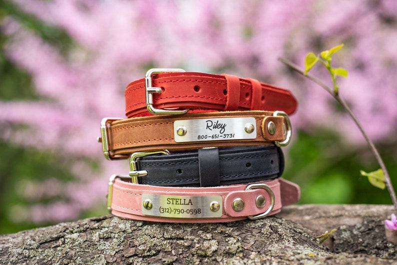Red Dog Collar Leather Dog Red Collar Engraved Dog Collar Etsy