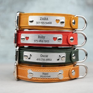 Personalized Leather Dog Collar, Engraved Dog Collar, Dog Collar with Name Plate