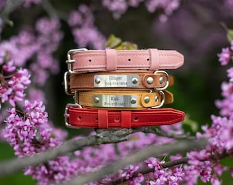 Personalized Leather Dog Collar with Engraved Name Plate