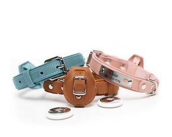 Leather AirTag Dog Collar with AirTag Holder, Personalized Name Tag