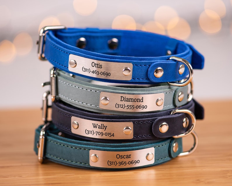 Personalized Dog Collar Leather Dog Collar With Name Etsy