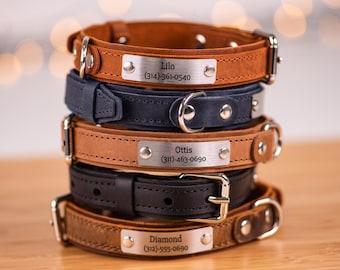 Collar de cuero personalizado para perro con placa de nombre grabada, collar personalizado para perro con nombre, collar para cachorro, regalo para mamás perrunas, regalo para amantes de los perros