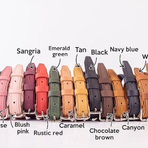 Colors of the dog collar with tag