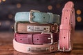 Leather Dog Collar, Personalized Dog Collar, Personalized Leather Dog Collar, Engraved Leather Dog Collar product logo