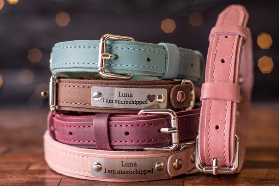 Leather Dog Collar Personalized Dog Collar Personalized Leather Dog Collar Engraved Leather Dog Collar Etsy