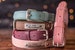 Leather Dog Collar, Personalized Dog Collar, Personalized Leather Dog Collar, Engraved Leather Dog Collar 