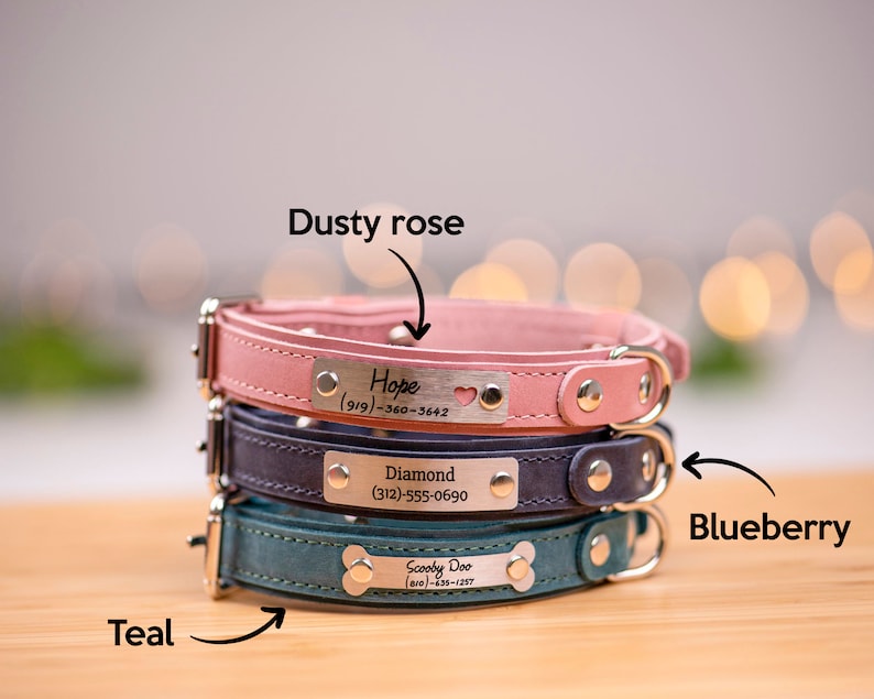 Personalized Engraved Dog Collar Leather Dog Collar Engraved Etsy