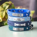 Blue Leather Dog Collar with Custom Nameplate, Personalized Pet ID Collar with Classic Buckle, Handmade Engraved Gift for Dog Owners product logo