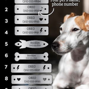 Dog collar with phone number & name engraved