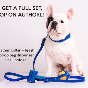 May include: A white French bulldog wearing a blue leather collar and leash. The leash has a blue poop bag dispenser and a blue ball holder attached. The text "TO GET A FULL SET, SHOP ON AUTHORL!" is at the top of the image. The text "Leather collar + leash + poop bag dispenser + ball holder" is below the dog. The text "GRAHAN" is on the poop bag dispenser.