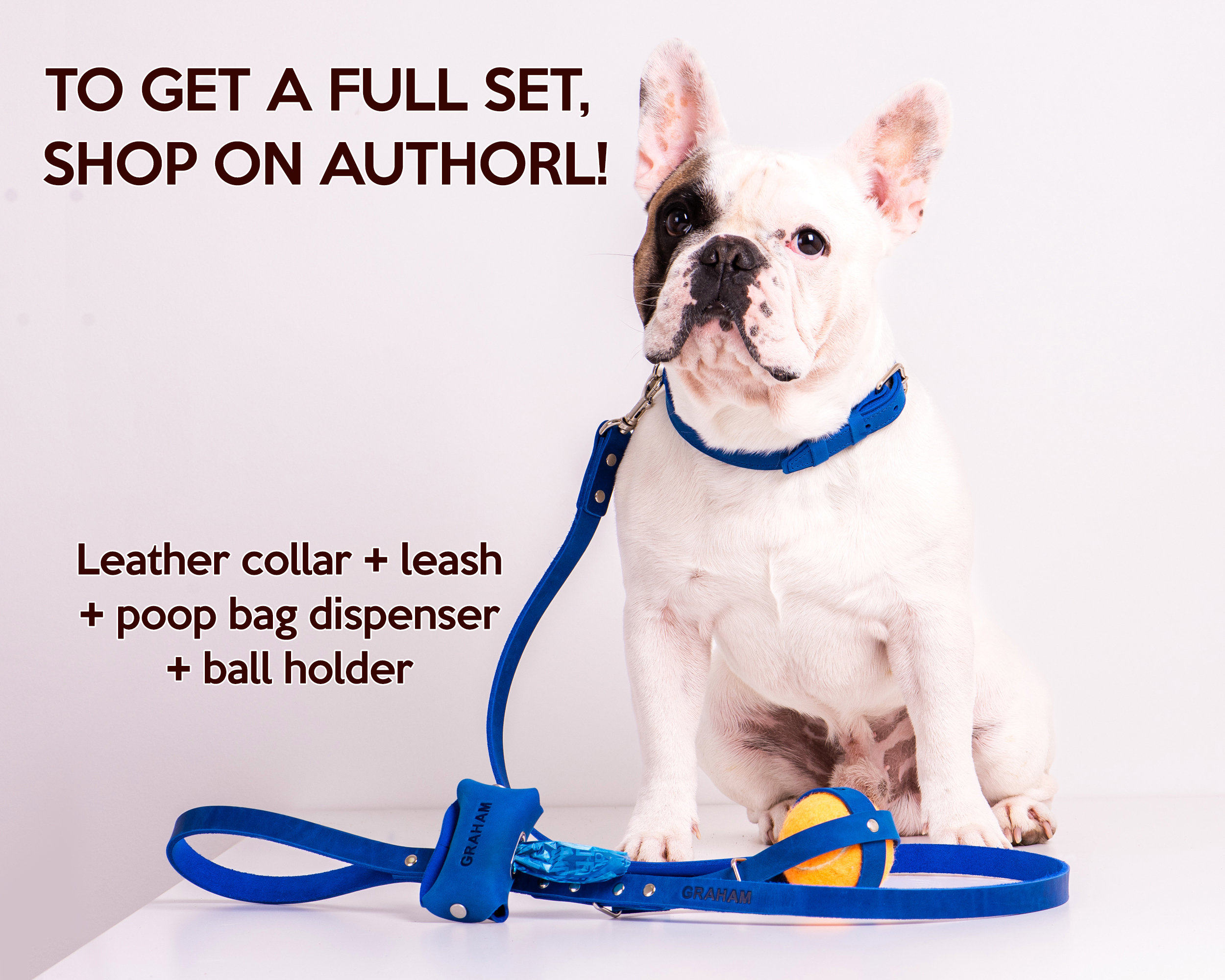 GUinzaglio Corto In Pelle Con Borghie A Punta Collezione Classica Per - Foto 6