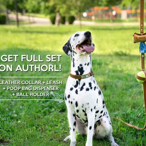 Dog ball holder, Genuine Leather Dog Accessories, Dog Toy Pet Accessory, Ball Holder Toy for Dog image 4